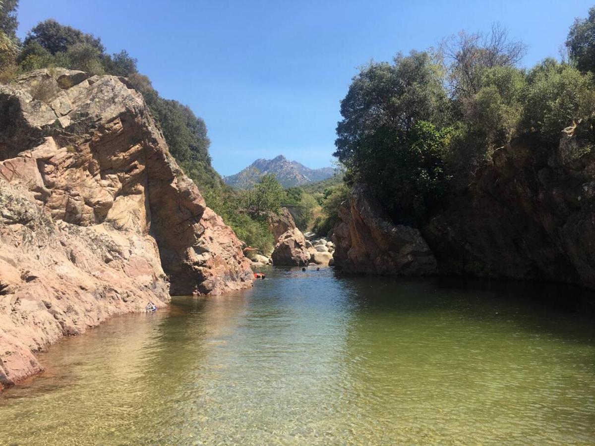 Avec Tres Jolie Vue Ajaccio (Corsica)